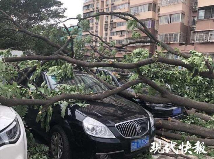 尼尔机械纪元百兽之剑的属性怎么样